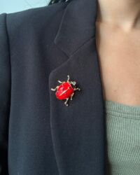 Prendedor Mariquita Mini