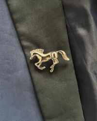 Prendedor Golden Horse