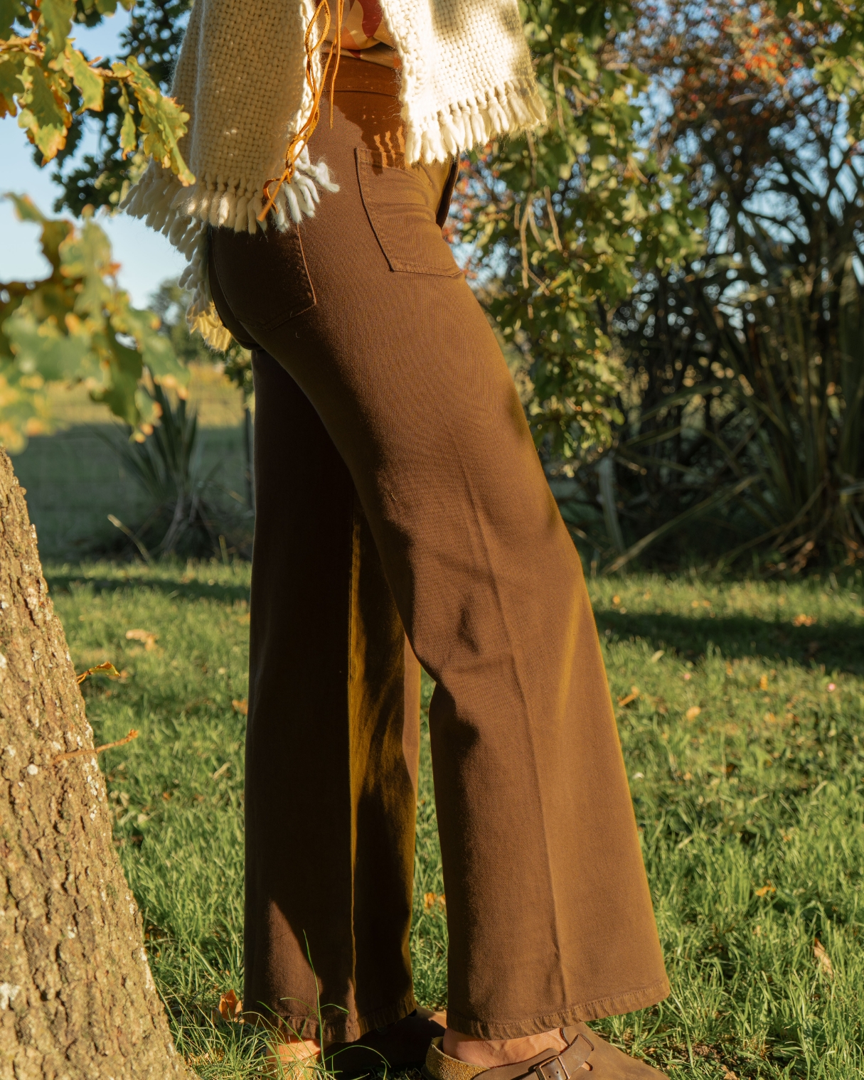 Jean Terra